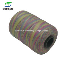 Colorful High Tenacity PE/PP/Polyester/Nylon Plastic Twisted/Braided/Baler/Thread/Packing Line/Fishing Net String (210D/380D) by Spool/Reel/Bobbin/Hank